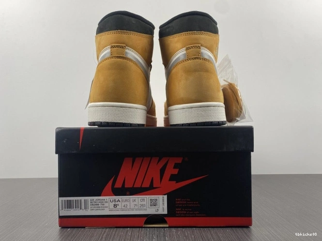 Reps TBkick Curry DB2889-700 High Element Light 1 Jordan Gore-Tex 0807